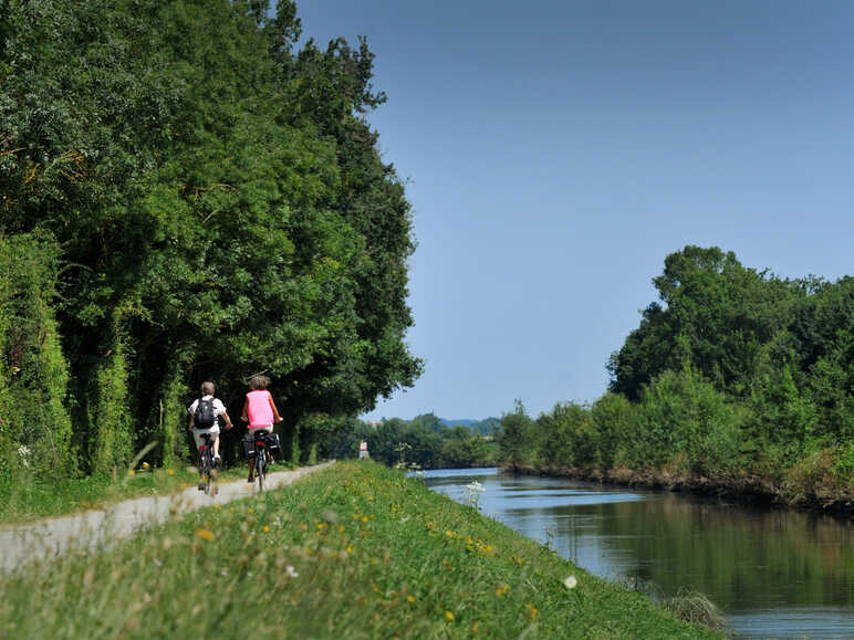 La Vélo Francette le long de la Mayenne - Grez-Neuville-Anjou